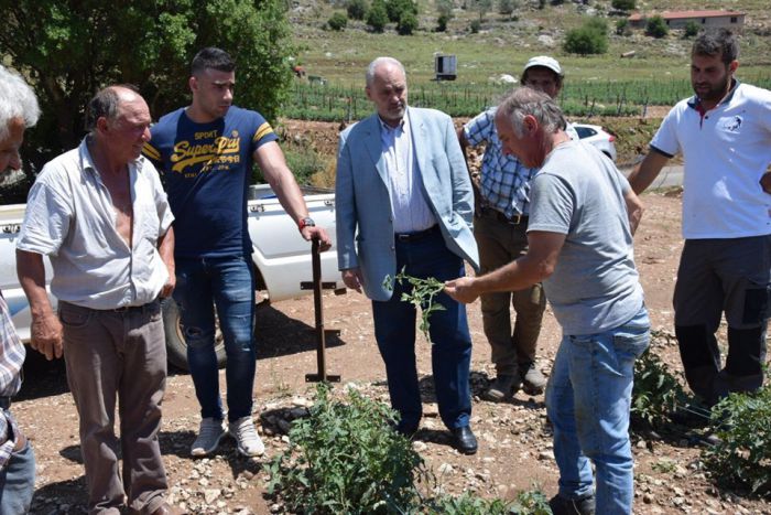Ζημιές από την κακοκαιρία στην Αρκαδία | Έκτακτη ενίσχυση για παραγωγούς, ώστε «να σταθούν στα πόδια τους» ζητά ο Παπαηλιού