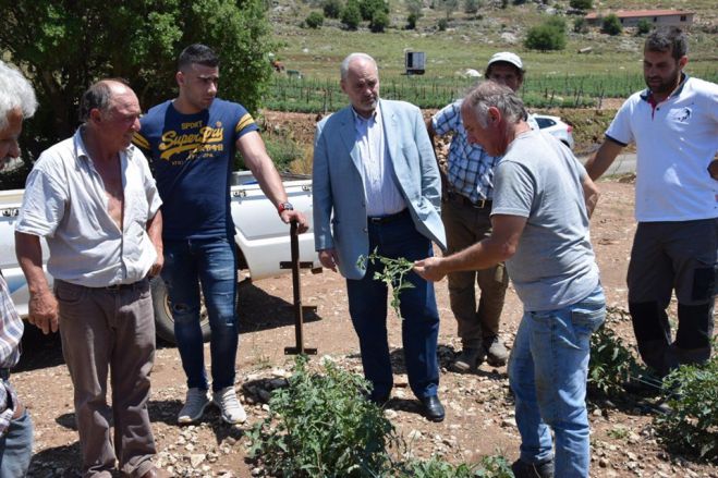 Ζημιές από την κακοκαιρία στην Αρκαδία | Έκτακτη ενίσχυση για παραγωγούς, ώστε «να σταθούν στα πόδια τους» ζητά ο Παπαηλιού