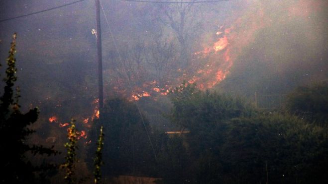&Omicron;&lambda;&omicron;&nu;ύ&chi;&tau;&iota;&alpha; &mu;ά&chi;&eta; &mu;&epsilon; &tau;&iota;&sigmaf; &phi;&lambda;ό&gamma;&epsilon;&sigmaf; &sigma;&tau;&eta;&nu; &Mu;&alpha;&gamma;&nu;&eta;&sigma;ί&alpha; - A&nu;&alpha;&zeta;&omega;&pi;&upsilon;&rho;ώ&sigma;&epsilon;&iota;&sigmaf; &sigma;&epsilon; &Kappa;ά&rho;&upsilon;&sigma;&tau;&omicron; &kappa;&alpha;&iota; &Rho;ό&delta;&omicron; - &Beta;&epsilon;&lambda;&tau;&iota;&omega;&mu;έ&nu;&eta; &epsilon;&iota;&kappa;ό&nu;&alpha; &sigma;&epsilon; &Kappa;έ&rho;&kappa;&upsilon;&rho;&alpha; &kappa;&alpha;&iota; &Lambda;&alpha;&mu;ί&alpha;