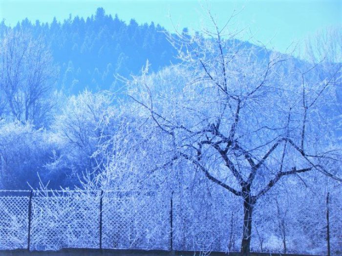 &Kappa;&alpha;&iota;&rho;ό&sigmaf; - &Sigma;&epsilon; &pi;&omicron;&iota;&alpha; &pi;&epsilon;&rho;&iota;&omicron;&chi;ή &tau;&eta;&sigmaf; &Alpha;&rho;&kappa;&alpha;&delta;ί&alpha;&sigmaf; &tau;&omicron; &theta;&epsilon;&rho;&mu;ό&mu;&epsilon;&tau;&rho;&omicron; "έ&delta;&epsilon;&iota;&xi;&epsilon;" -8 &beta;&alpha;&theta;&mu;&omicron;ύ&sigmaf;!