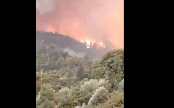 Καίγεται η Γορτυνία | &quot;Μόνο ο Θεός μπορεί να μας σώσει. Ρίξε Παναγιά μου μια βροχή&quot; (vd)