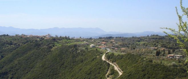 &Kappa;&alpha;&lambda;&lambda;&iota;ά&nu;&iota; - &Sigma;&tau;&alpha; .. &kappa;ά&gamma;&kappa;&epsilon;&lambda;&alpha; &omicron;&iota; &kappa;ά&tau;&omicron;&iota;&kappa;&omicron;&iota; &gamma;&iota;&alpha; &tau;&omicron; &alpha;&pi;&omicron;&chi;&epsilon;&tau;&epsilon;&upsilon;&tau;&iota;&kappa;ό &delta;ί&kappa;&tau;&upsilon;&omicron; &ndash; &Pi;&rho;&omicron;&epsilon;&iota;&delta;&omicron;&pi;&omicron;&iota;&omicron;ύ&nu; &mu;&epsilon; &kappa;&alpha;&tau;ά&lambda;&eta;&psi;&eta; &tau;&omicron;&upsilon; &Delta;&eta;&mu;&alpha;&rho;&chi;&epsilon;ί&omicron;&upsilon; &Gamma;&omicron;&rho;&tau;&upsilon;&nu;ί&alpha;&sigmaf;!