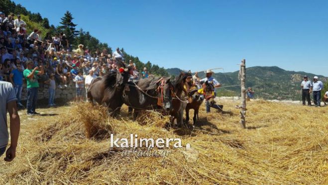 &Alpha;&rho;&kappa;&alpha;&delta;ί&alpha; | &Alpha;&upsilon;&tau;έ&sigmaf; &omicron;&iota; &epsilon;&kappa;&delta;&eta;&lambda;ώ&sigma;&epsilon;&iota;&sigmaf; &theta;&alpha; &gamma;ί&nu;&omicron;&upsilon;&nu; &upsilon;&pi;ό &tau;&eta;&nu; &alpha;&iota;&gamma;ί&delta;&alpha; &tau;&eta;&sigmaf; &Pi;&epsilon;&rho;&iota;&phi;έ&rho;&epsilon;&iota;&alpha;&sigmaf; &tau;&omicron; 2020 - Ό&lambda;&eta; &eta; &lambda;ί&sigma;&tau;&alpha;!
