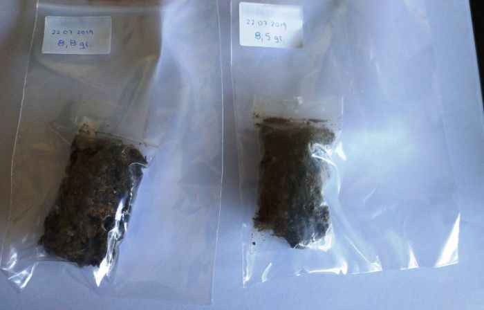 &Tau;&rho;ί&pi;&omicron;&lambda;&eta; | &Sigma;ύ&lambda;&lambda;&eta;&psi;&eta; &gamma;&iota;&alpha; &mu;&iota;&kappa;&rho;&omicron;&pi;&omicron;&sigma;ό&tau;&eta;&tau;&alpha; &kappa;ά&nu;&nu;&alpha;&beta;&eta;&sigmaf;