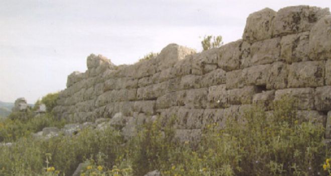 &Pi;&iota;&omicron; &epsilon;ύ&kappa;&omicron;&lambda;&eta; &eta; &pi;&rho;ό&sigma;&beta;&alpha;&sigma;&eta; &sigma;&tau;&omicron; &mu;&upsilon;&kappa;&eta;&nu;&alpha;ϊ&kappa;ό &nu;&epsilon;&kappa;&rho;&omicron;&tau;&alpha;&phi;&epsilon;ί&omicron; &tau;&omicron;&upsilon; &Pi;&alpha;&lambda;&alpha;&iota;&omicron;&kappa;ά&sigma;&tau;&rho;&omicron;&upsilon; &Gamma;&omicron;&rho;&tau;&upsilon;&nu;ί&alpha;&sigmaf;