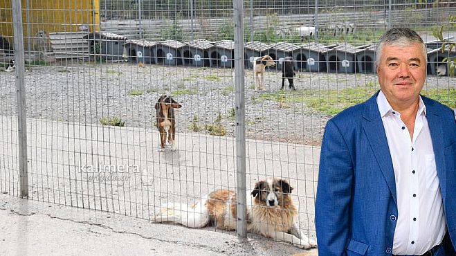 Αντιδήμαρχος Παπαδάτος: "Kοινός μας στόχος η φροντίδα των αδέσποτων ζώων. Πολύτιμη η συνεργασίας μας με την οργάνωση Save a Greek Stray”