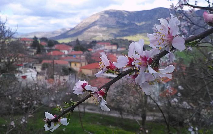 Ά&nu;&theta;&iota;&sigma;&eta; &kappa;ό&nu;&tau;&rho;&alpha; &sigma;&tau;&omicron;&nu; &chi;&epsilon;&iota;&mu;ώ&nu;&alpha; &sigma;&tau;&omicron;&nu; &Mu;&alpha;&nu;&tau;&iota;&nu;&epsilon;&iota;&alpha;&kappa;ό &kappa;ά&mu;&pi;&omicron;