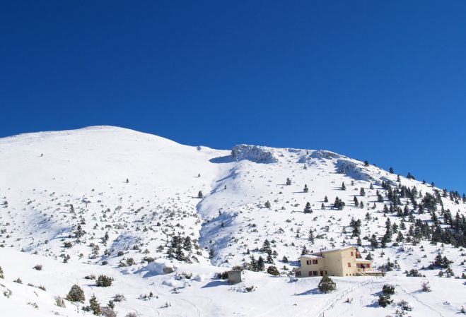 Στην Οστρακίνα η κοπή πίτας του ΣΑΟΟ