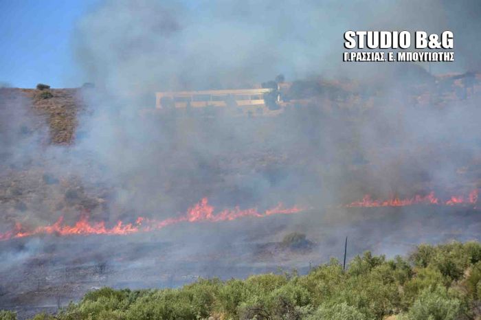 Μεγάλο πύρινο μέτωπο σε χωριό του Ναυπλίου (vd)