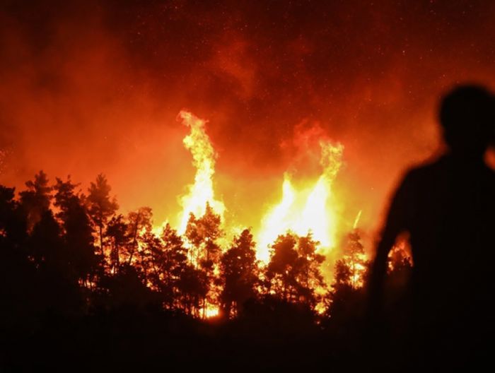 Γορτυνία | Προσφορά ζωοτροφών από τον Αγροτικό Κτηνοτροφικό Συνεταιρισμό Αρκαδίας «Η ΕΝΩΣΗ» σε πυρόπληκτους κτηνοτρόφους