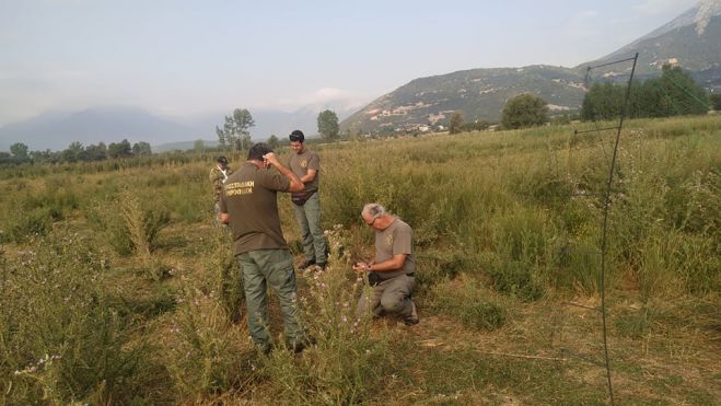 &Theta;&eta;&rho;&omicron;&phi;ύ&lambda;&alpha;&kappa;&epsilon;&sigmaf; &epsilon;&nu;&tau;ό&pi;&iota;&sigma;&alpha;&nu; &pi;&alpha;&rho;ά&nu;&omicron;&mu;&omicron;&upsilon;&sigmaf; &kappa;&upsilon;&nu;&eta;&gamma;&omicron;ύ&sigmaf; &sigma;&tau;&eta;&nu; &Kappa;&omicron;&rho;&iota;&nu;&theta;ί&alpha; - &Alpha;&pi;&epsilon;&lambda;&epsilon;&upsilon;&theta;&epsilon;&rho;ώ&theta;&eta;&kappa;&alpha;&nu; 150 &gamma;&alpha;&rho;&delta;έ&lambda;&iota;&alpha;