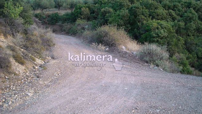 &Phi;&omega;&nu;ή &alpha;&pi;ό&gamma;&nu;&omega;&sigma;&eta;&sigmaf; &alpha;&pi;ό &pi;&alpha;&rho;&alpha;&gamma;ώ&gamma;&omicron;&upsilon;&sigmaf;: &laquo;&Delta;&iota;&alpha;&lambda;&upsilon;&mu;έ&nu;&omicron;&iota; &omicron;&iota; &alpha;&gamma;&rho;&omicron;&tau;&iota;&kappa;&omicron;ί &delta;&rho;ό&mu;&omicron;&iota; &sigma;&tau;&eta;&nu; &kappa;ά&tau;&omega; &Gamma;&omicron;&rho;&tau;&upsilon;&nu;ί&alpha;&raquo;