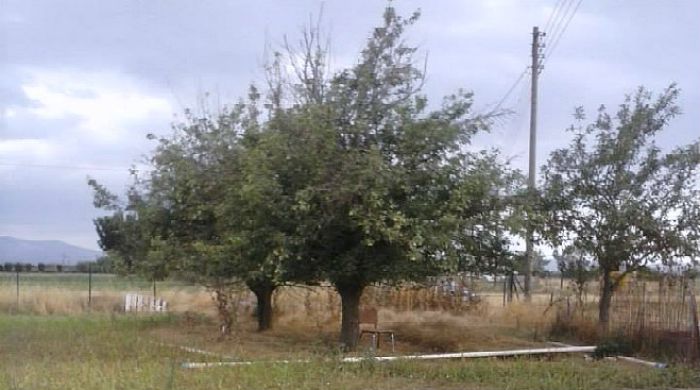 &Nu;έ&alpha; &delta;&iota;&omicron;ί&kappa;&eta;&sigma;&eta; &sigma;&tau;&omicron; &Sigma;ύ&lambda;&lambda;&omicron;&gamma;&omicron; &Phi;&iota;&lambda;&omicron;&delta;έ&nu;&delta;&rho;&omega;&nu; &Zeta;&epsilon;&upsilon;&gamma;&omicron;&lambda;&alpha;&tau;&iota;&omicron;ύ
