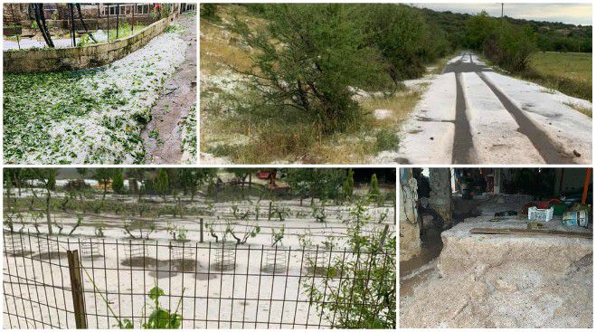 &Sigma;&tau;&iota;&sigmaf; &pi;&lambda;&eta;&gamma;&epsilon;ί&sigma;&epsilon;&sigmaf; &pi;&epsilon;&rho;&iota;&omicron;&chi;έ&sigmaf; &alpha;&pi;ό &tau;&eta; &chi;&theta;&epsilon;&sigma;&iota;&nu;ή &chi;&alpha;&lambda;&alpha;&zeta;ό&pi;&tau;&omega;&sigma;&eta; &omicron;&iota; &Gamma;ό&nu;&tau;&iota;&kappa;&alpha;&sigmaf; &kappa;&alpha;&iota; &Gamma;&omicron;ύ&rho;&gamma;&alpha;&rho;&eta;&sigmaf; &tau;&omicron;&upsilon; &Kappa;&Kappa;&Epsilon;