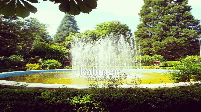 Λέμε «Καλημέρα» στο Instagram – Ακολουθήστε μας! #kalimeraarkadiagr