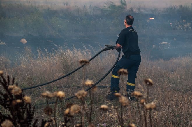 &Sigma;&epsilon; ύ&phi;&epsilon;&sigma;&eta; &omicron;&iota; &phi;&omega;&tau;&iota;έ&sigmaf; &sigma;&epsilon; &Epsilon;&pi;ί&delta;&alpha;&upsilon;&rho;&omicron; &Alpha;&rho;&gamma;&omicron;&lambda;ί&delta;&alpha;&sigmaf; &kappa;&alpha;&iota; &Xi;&upsilon;&lambda;ό&kappa;&alpha;&sigma;&tau;&rho;&omicron; &Kappa;&omicron;&rho;&iota;&nu;&theta;ί&alpha;&sigmaf;