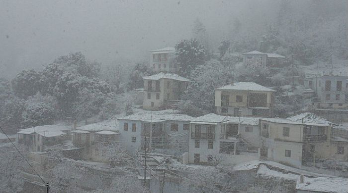 &Eta; &chi;&iota;&omicron;&nu;&iota;&sigma;&mu;έ&nu;&eta; &Kappa;&alpha;&sigma;&tau;ά&nu;&iota;&tau;&sigma;&alpha; &Alpha;&rho;&kappa;&alpha;&delta;ί&alpha;&sigmaf; (&epsilon;&iota;&kappa;ό&nu;&epsilon;&sigmaf;)