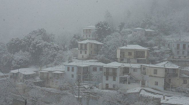 &Eta; &chi;&iota;&omicron;&nu;&iota;&sigma;&mu;έ&nu;&eta; &Kappa;&alpha;&sigma;&tau;ά&nu;&iota;&tau;&sigma;&alpha; &Alpha;&rho;&kappa;&alpha;&delta;ί&alpha;&sigmaf; (&epsilon;&iota;&kappa;ό&nu;&epsilon;&sigmaf;)