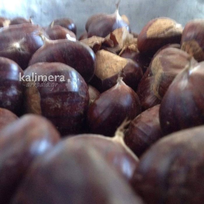 &Gamma;&iota;&omicron;&rho;&tau;ή &kappa;ά&sigma;&tau;&alpha;&nu;&omicron;&upsilon; &kappa;&alpha;&iota; &phi;έ&tau;&omicron;&sigmaf; &sigma;&tau;&alpha; Ά&nu;&omega; &Delta;&omicron;&lambda;&iota;&alpha;&nu;ά!