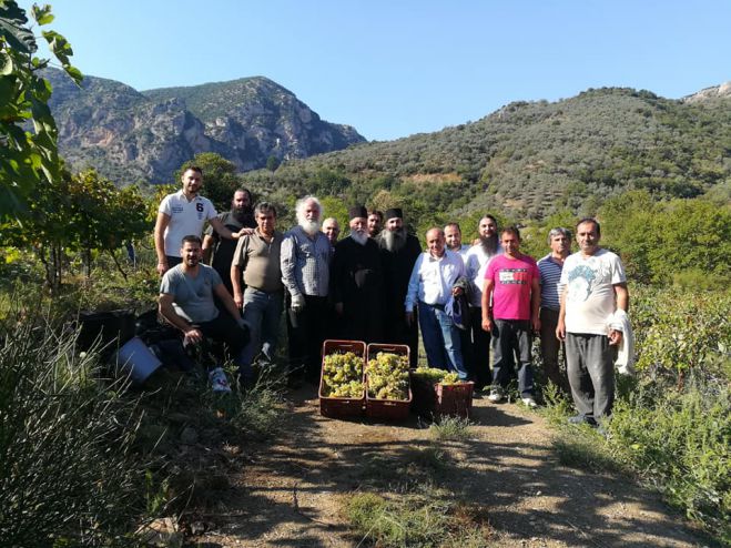 Κυνουρία | Πρώτος στον τρύγο των σταφυλιών ο Μητροπολίτης Αλέξανδρος! (εικόνες)