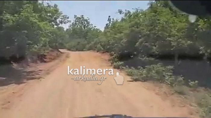 &Tau;&iota; &sigma;&upsilon;&mu;&beta;&alpha;ί&nu;&epsilon;&iota; &sigma;&tau;&omicron; &Delta;ά&sigma;&omicron;&sigmaf; &tau;&eta;&sigmaf; &Kappa;ά&pi;&epsilon;&lambda;&eta;&sigmaf;;