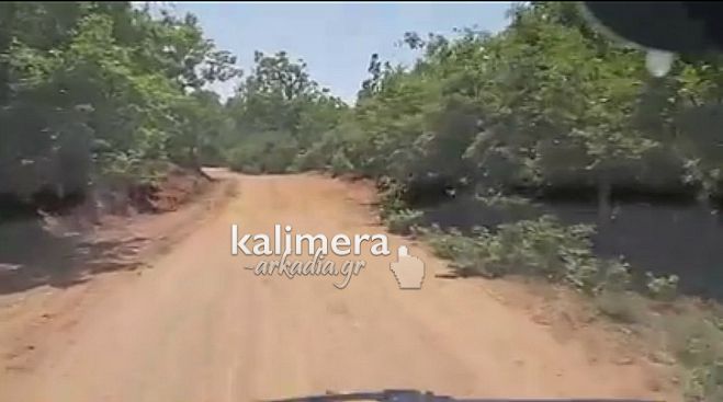 &Tau;&iota; &sigma;&upsilon;&mu;&beta;&alpha;ί&nu;&epsilon;&iota; &sigma;&tau;&omicron; &Delta;ά&sigma;&omicron;&sigmaf; &tau;&eta;&sigmaf; &Kappa;ά&pi;&epsilon;&lambda;&eta;&sigmaf;;