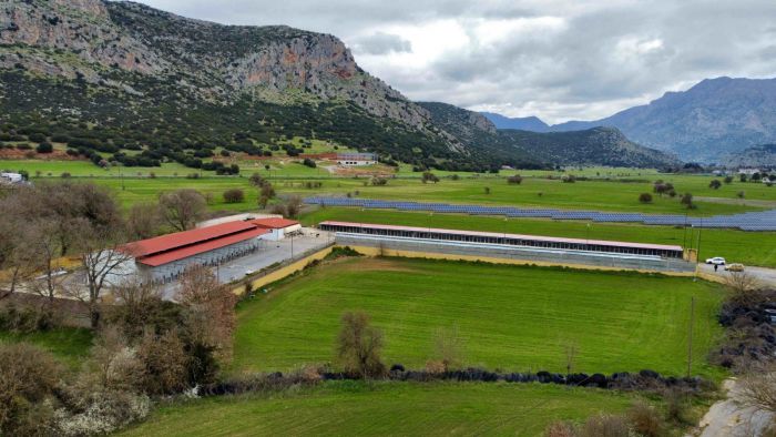 &Omicron; &Delta;ή&mu;&omicron;&sigmaf; &Tau;&rho;ί&pi;&omicron;&lambda;&eta;&sigmaf; &epsilon;&xi;&alpha;&sigma;&phi;ά&lambda;&iota;&sigma;&epsilon; &tau;&eta;&nu; ά&delta;&epsilon;&iota;&alpha; &lambda;&epsilon;&iota;&tau;&omicron;&upsilon;&rho;&gamma;ί&alpha;&sigmaf; &tau;&omicron;&upsilon; &Kappa;&alpha;&tau;&alpha;&phi;&upsilon;&gamma;ί&omicron;&upsilon; &Alpha;&delta;έ&sigma;&pi;&omicron;&tau;&omega;&nu; &Zeta;ώ&omega;&nu;!