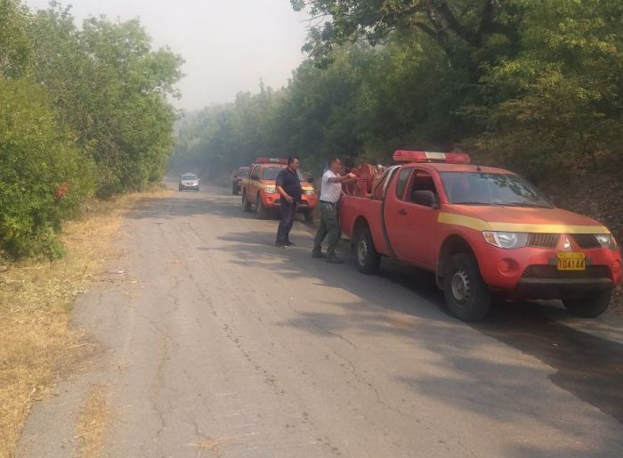 &Delta;ή&mu;&omicron;&sigmaf; &Mu;&epsilon;&gamma;&alpha;&lambda;ό&pi;&omicron;&lambda;&eta;&sigmaf; | Ά&mu;&epsilon;&sigma;&eta; &eta; &epsilon;&pi;έ&mu;&beta;&alpha;&sigma;&eta; &gamma;&iota;&alpha; &nu;&alpha; &mu;&eta;&nu; &pi;&epsilon;&rho;ά&sigma;&epsilon;&iota; &eta; &phi;&omega;&tau;&iota;ά &sigma;&epsilon; &Alpha;&pi;&iota;&delta;ί&tau;&sigma;&alpha; &kappa;&alpha;&iota; &Chi;&omega;&rho;έ&mu;&eta;