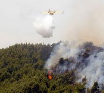 Πυρκαγιά σε δασική έκταση στο Σοφικό Κορινθίας..