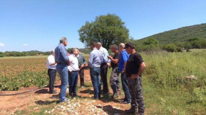 &Alpha;&rho;&kappa;&alpha;&delta;ί&alpha; - &laquo;Ά&mu;&epsilon;&sigma;&alpha; &eta; &Kappa;&upsilon;&beta;έ&rho;&nu;&eta;&sigma;&eta; &nu;&alpha; &kappa;&eta;&rho;ύ&xi;&epsilon;&iota; &tau;&iota;&sigmaf; &pi;&lambda;&eta;&gamma;&epsilon;ί&sigma;&epsilon;&sigmaf; &pi;&epsilon;&rho;&iota;&omicron;&chi;έ&sigmaf; &sigma;&epsilon; &kappa;&alpha;&tau;ά&sigma;&tau;&alpha;&sigma;&eta; έ&kappa;&tau;&alpha;&kappa;&tau;&eta;&sigmaf; &alpha;&nu;ά&gamma;&kappa;&eta;&sigmaf;&raquo;