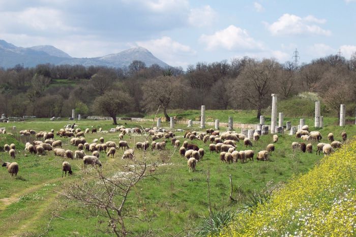 Ά&nu;&theta;&rho;&omega;&pi;&omicron;&iota;, &pi;&rho;ό&beta;&alpha;&tau;&alpha; &kappa;&iota; έ&nu;&alpha; &Upsilon;&pi;&omicron;&upsilon;&rho;&gamma;&epsilon;ί&omicron; &pi;&omicron;&upsilon;&hellip; &beta;ό&sigma;&kappa;&epsilon;&iota; &pi;ά&nu;&omega; &sigma;&tau;&alpha; &alpha;&rho;&chi;&alpha;ί&alpha; &tau;&eta;&sigmaf; &Alpha;&rho;&kappa;&alpha;&delta;ί&alpha;&sigmaf;
