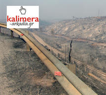 35.000 &sigma;&tau;&rho;έ&mu;&mu;&alpha;&tau;&alpha; &delta;ά&sigma;&omicron;&upsilon;&sigmaf; &kappa;ά&eta;&kappa;&alpha;&nu; &sigma;&tau;&eta;&nu; &Alpha;&rho;&kappa;&alpha;&delta;ί&alpha; &ndash; 600 &epsilon;&upsilon;&rho;ώ &epsilon;&nu;ί&sigma;&chi;&upsilon;&sigma;&eta; &sigma;&epsilon; &kappa;ά&theta;&epsilon; &nu;&omicron;&iota;&kappa;&omicron;&kappa;&upsilon;&rho;&iota;ό