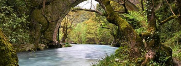ΣΑΟΟ | Βόλτα στην καταπράσινη και εύφορη κοιλάδα του Αλφειού