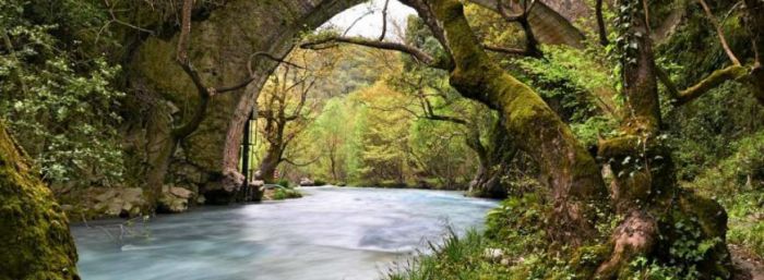 ΣΑΟΟ | Βόλτα στην καταπράσινη και εύφορη  κοιλάδα του Αλφειού