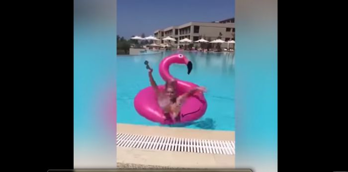 Ένα ροζ φλαμίνγκο πήρε την ... εκδίκησή του! (vd)