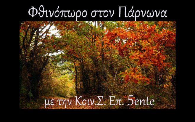 &Phi;&theta;&iota;&nu;ό&pi;&omega;&rho;&omicron; &mu;&epsilon; &delta;&rho;&alpha;&sigma;&tau;&eta;&rho;&iota;ό&tau;&eta;&tau;&epsilon;&sigmaf; &sigma;&tau;&omicron;&nu; &pi;&alpha;&nu;έ&mu;&omicron;&rho;&phi;&omicron; &Pi;ά&rho;&nu;&omega;&nu;&alpha;!