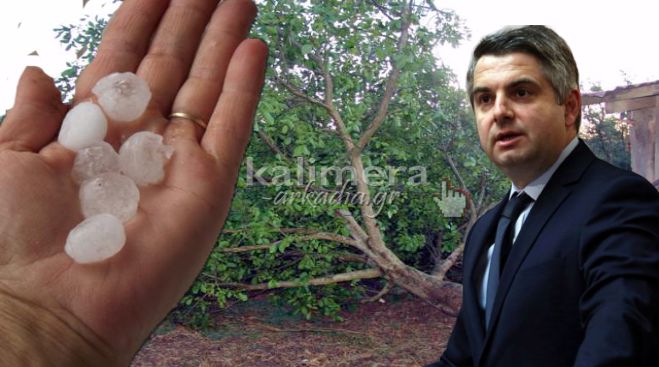 &Alpha;&gamma;&rho;ό&tau;&epsilon;&sigmaf; - &Alpha;&rho;&kappa;&alpha;&delta;ί&alpha; | &Pi;&rho;&omega;&tau;&omicron;&beta;&omicron;&upsilon;&lambda;ί&epsilon;&sigmaf; &gamma;&iota;&alpha; &tau;&iota;&sigmaf; &zeta;&eta;&mu;&iota;έ&sigmaf; &alpha;&pi;ό &tau;&eta;&nu; &kappa;&alpha;&kappa;&omicron;&kappa;&alpha;&iota;&rho;ί&alpha; &zeta;&eta;&tau;ά &omicron; &Kappa;&omega;&nu;&sigma;&tau;&alpha;&nu;&tau;&iota;&nu;ό&pi;&omicron;&upsilon;&lambda;&omicron;&sigmaf;