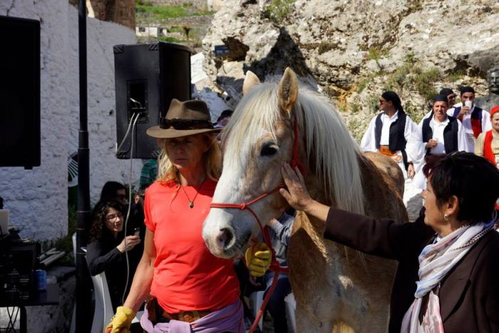 Φεστιβάλ Ελληνικού Πλαγιοτροχαστή Ίππου έγινε για πρώτη φορά στον Πραστό! (vd)