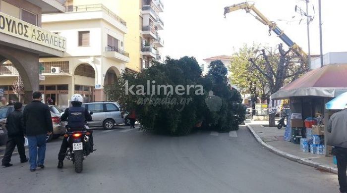 &laquo;&Gamma;&iota;&gamma;ά&nu;&tau;&iota;&omicron; &delta;έ&nu;&tau;&rho;&omicron;&raquo; &sigma;&tau;&alpha;&mu;ά&tau;&eta;&sigma;&epsilon; &tau;&eta;&nu; &kappa;&upsilon;&kappa;&lambda;&omicron;&phi;&omicron;&rho;ί&alpha; &sigma;&tau;&omicron; &kappa;έ&nu;&tau;&rho;&omicron; &tau;&eta;&sigmaf; &pi;ό&lambda;&eta;&sigmaf;! (&epsilon;&iota;&kappa;ό&nu;&epsilon;&sigmaf;)