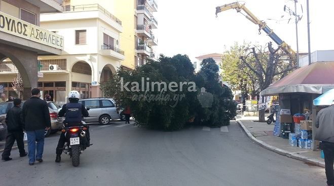 «Γιγάντιο δέντρο» σταμάτησε την κυκλοφορία στο κέντρο της πόλης! (εικόνες)