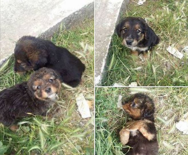 &Pi;&alpha;&nu;έ&mu;&omicron;&rho;&phi;&alpha; &kappa;&omicron;&upsilon;&tau;&alpha;&beta;ά&kappa;&iota;&alpha; &zeta;&eta;&tau;&omicron;ύ&nu; &nu;&alpha; &tau;&alpha; &upsilon;&iota;&omicron;&theta;&epsilon;&tau;ή&sigma;&epsilon;&tau;&epsilon;!