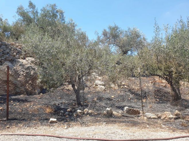 &Upsilon;&pi;ό &pi;&lambda;ή&rho;&eta; έ&lambda;&epsilon;&gamma;&chi;&omicron; &eta; &phi;&omega;&tau;&iota;ά &sigma;&tau;&eta; &Beta;ό&rho;&epsilon;&iota;&alpha; &Kappa;&upsilon;&nu;&omicron;&upsilon;&rho;ί&alpha; (&epsilon;&iota;&kappa;ό&nu;&epsilon;&sigmaf;)