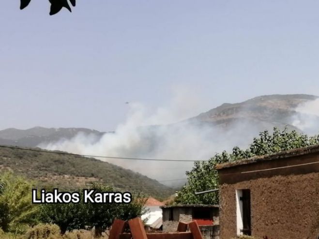 &Delta;ή&mu;&omicron;&sigmaf; &Mu;&epsilon;&gamma;&alpha;&lambda;ό&pi;&omicron;&lambda;&eta;&sigmaf; | &Kappa;&alpha;&lambda;ύ&tau;&epsilon;&rho;&eta; &eta; &kappa;&alpha;&tau;ά&sigma;&tau;&alpha;&sigma;&eta; &sigma;&tau;&alpha; &mu;έ&tau;&omega;&pi;&alpha; &tau;&eta;&sigmaf; &phi;&omega;&tau;&iota;ά&sigmaf;