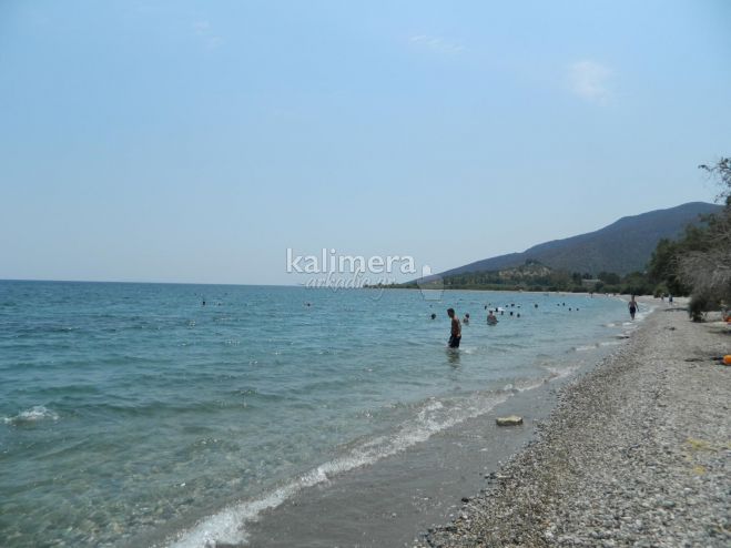 Έ&kappa;&tau;&alpha;&kappa;&tau;&omicron; &delta;&epsilon;&lambda;&tau;ί&omicron; &kappa;&alpha;&iota;&rho;&omicron;ύ: Έ&rho;&chi;&epsilon;&tau;&alpha;&iota; &kappa;&alpha;ύ&sigma;&omega;&nu;&alpha;&sigmaf; &pi;&omicron;&upsilon; &theta;&alpha; "&alpha;&gamma;&gamma;ί&xi;&epsilon;&iota;' &tau;&omicron;&upsilon;&sigmaf; 43 &beta;&alpha;&theta;&mu;&omicron;ύ&sigmaf; &Kappa;&epsilon;&lambda;&sigma;ί&omicron;&upsilon;!