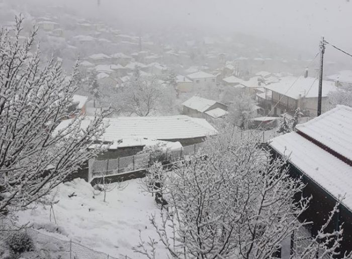 Χιονισμένο το χωριό Πράσινο στη Γορτυνία! (εικόνες)