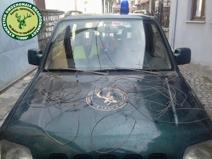 &Kappa;&upsilon;&nu;ή&gamma;&iota; - &Alpha;&upsilon;&tau;&omicron;&sigma;&chi;έ&delta;&iota;&epsilon;&sigmaf; &pi;&alpha;&gamma;ί&delta;&epsilon;&sigmaf; &alpha;&pi;ό &sigma;&upsilon;&rho;&mu;&alpha;&tau;ό&sigma;&chi;&omicron;&iota;&nu;&omicron; &epsilon;&nu;&tau;ό&pi;&iota;&sigma;&epsilon; &eta; &Theta;&eta;&rho;&omicron;&phi;&upsilon;&lambda;&alpha;&kappa;ή &sigma;&tau;&eta;&nu; &Pi;&iota;ά&nu;&alpha;