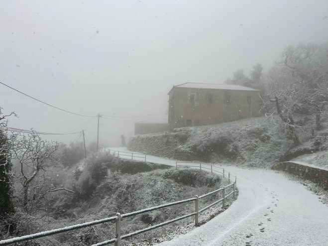 Όλα λευκά από το χιόνι στην Κουνουπιά Κυνουρίας! (vd)