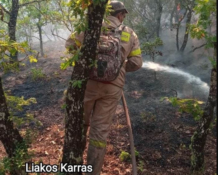 &Epsilon;&theta;&epsilon;&lambda;&omicron;&nu;&tau;ή&sigmaf; &pi;&upsilon;&rho;&omicron;&sigma;&beta;έ&sigma;&tau;&eta;&sigmaf; &alpha;&pi;ό &tau;&eta;&nu; &Alpha;&theta;ή&nu;&alpha; &kappa;&alpha;&tau;έ&beta;&eta;&kappa;&epsilon; &sigma;&tau;&eta; &Chi;&rho;&omicron;ύ&sigma;&alpha; &Mu;&epsilon;&gamma;&alpha;&lambda;ό&pi;&omicron;&lambda;&eta;&sigmaf; &gamma;&iota;&alpha; &nu;&alpha; &beta;&omicron;&eta;&theta;ή&sigma;&epsilon;&iota; &sigma;&tau;&eta;&nu; &kappa;&alpha;&tau;ά&sigma;&beta;&epsilon;&sigma;&eta; (&epsilon;&iota;&kappa;ό&nu;&epsilon;&sigmaf;)