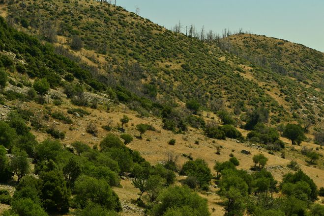 Στο όρος Κλωκός εξορμά ο ΣΑΟΟ