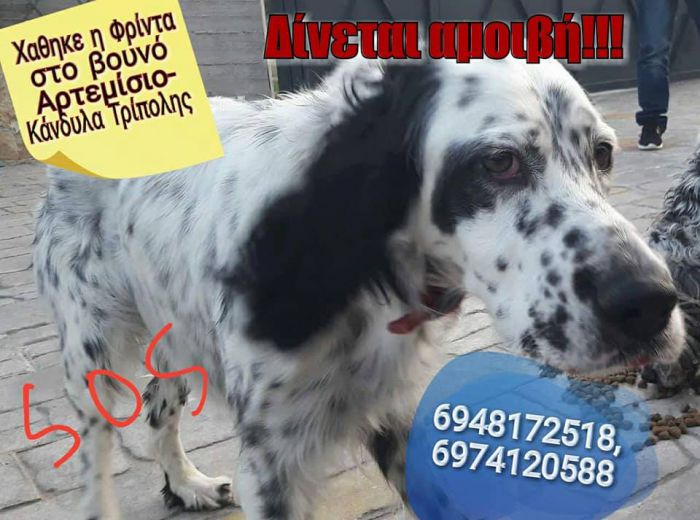 &Chi;ά&theta;&eta;&kappa;&epsilon; &eta; &Phi;&rho;ί&nu;&tau;&alpha; - &Delta;ί&nu;&epsilon;&tau;&alpha;&iota; &alpha;&mu;&omicron;&iota;&beta;ή &sigma;&epsilon; ό&pi;&omicron;&iota;&omicron;&nu; &tau;&eta; &beta;&rho;&epsilon;&iota;!